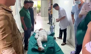 Dùng xăng đốt kiến, hai bé trai bỏng nặng