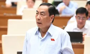 Đại biểu Quốc hội lo khu thương mại tự do 'nơi đông đúc, chỗ lại trống trơn'