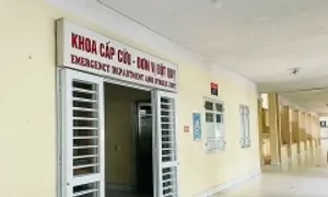 Vũ công đột tử khi đang biểu diễn trên sân khấu Vũ công đột tử khi đang biểu diễn trên sân khấu