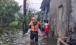 Hơn 262.000 bộ đội, dân quân ứng phó bão Fengshen